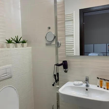 Casa Rodica ***